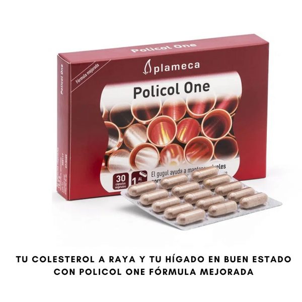 PACK ADIÓS COLESTEROL ESTRELLADO - Imagen 3